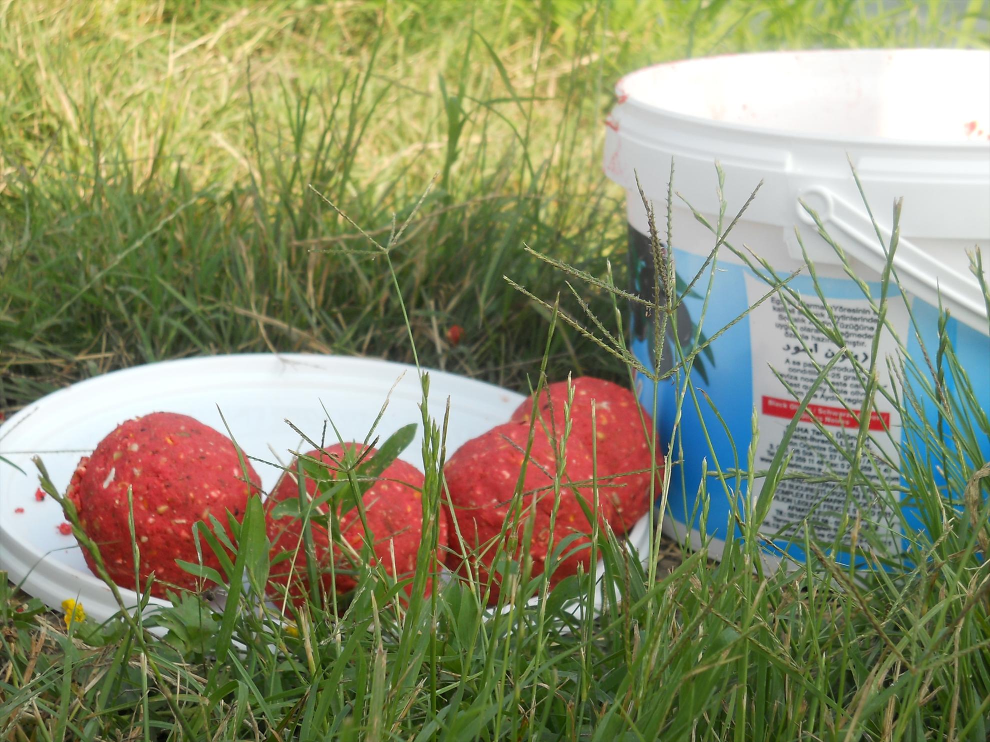 Moara Vlasiei 2012 - dscn0560.JPG